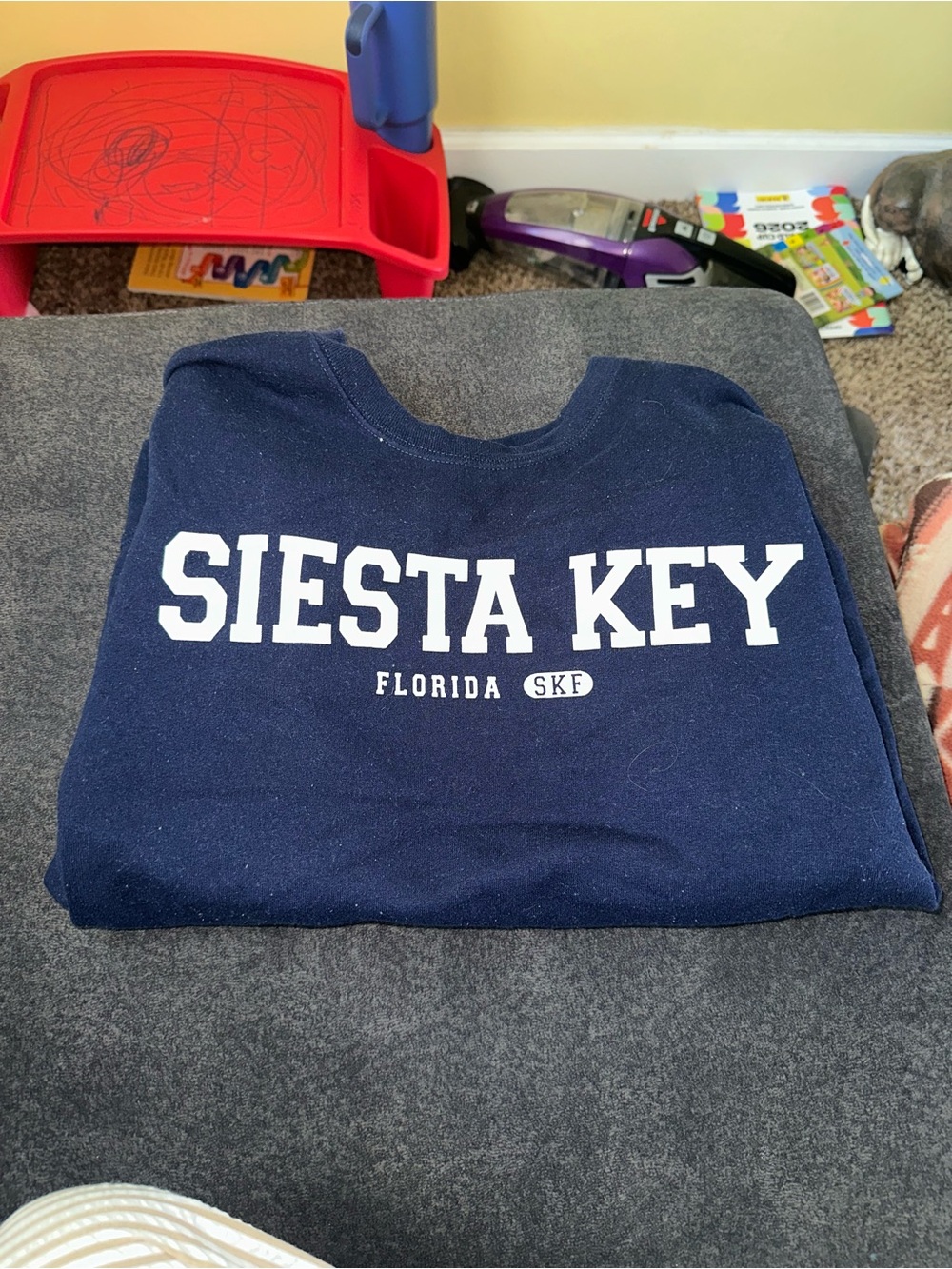 Fruit of the Loom Navy Siesta Key Graphic Sweatshirt